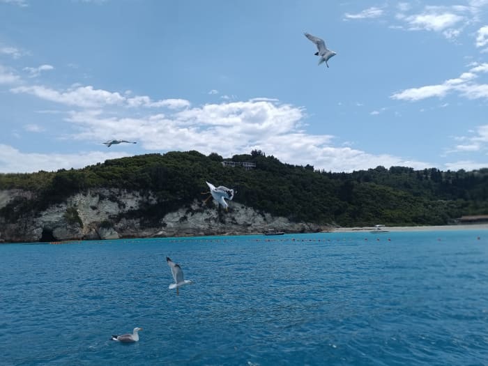 Sail the Serene North East: Half-Day Adventure to Agios Stefanos & Beyond - 5hrs Cruise