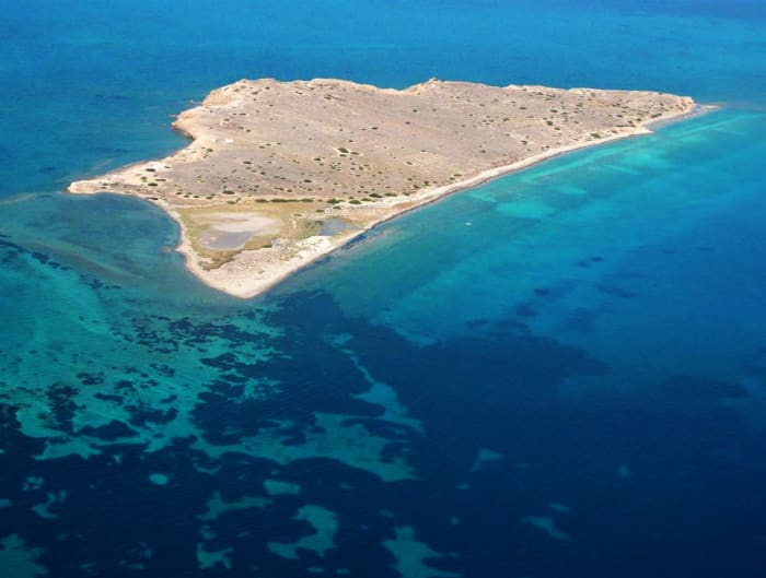 D'Athènes à Égine : croisière découverte des îles