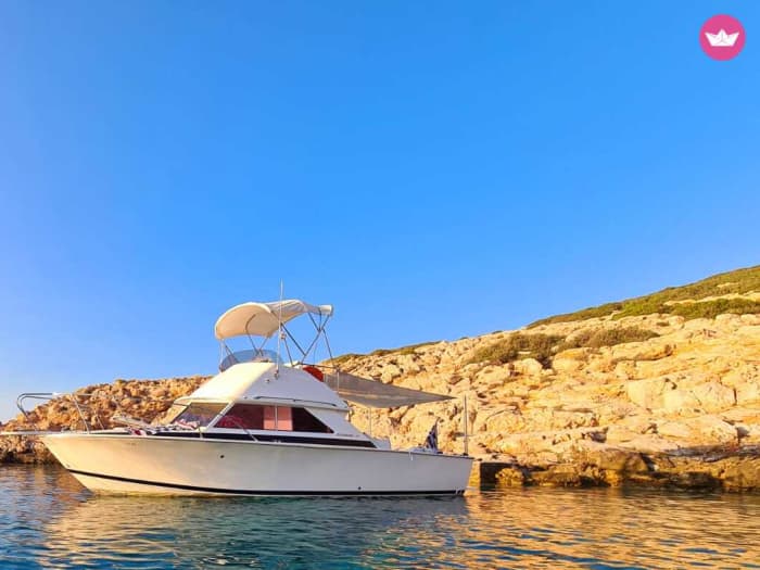 Saronic Gems: excursion d'une journée à Égine et Agistri au départ d'Athènes