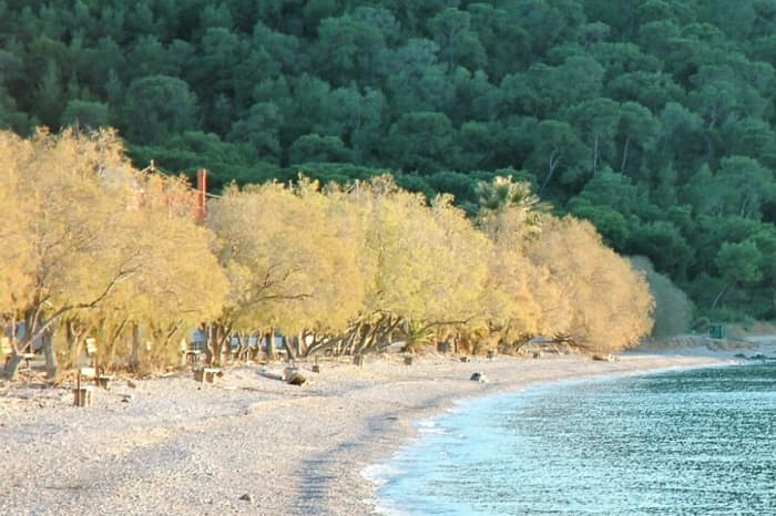 Escapade côtière à Salamina : visite d'une demi-journée de l'île