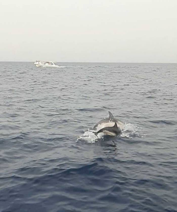 Your day in Giardini Naxos: Rent a motorboat for a full day of discovery