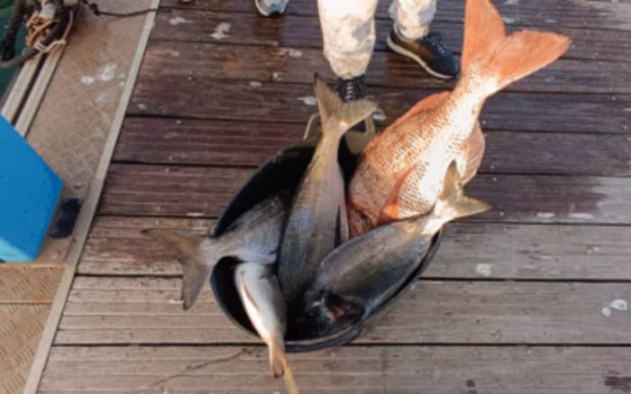 Salida de Pesca Deportiva en Fuengirola 4 hrs