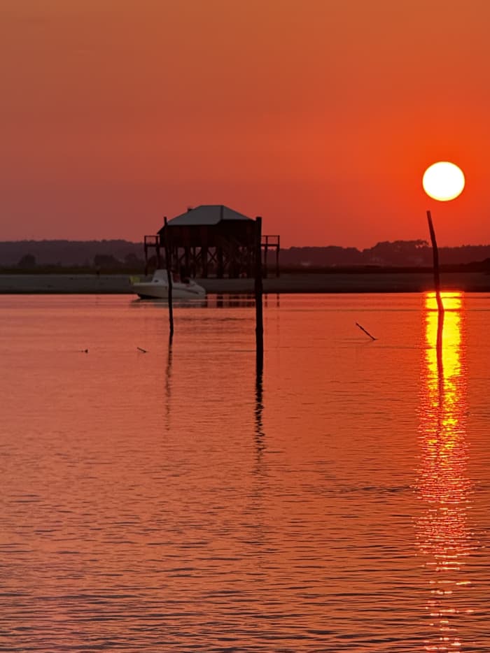 A boat trip, with tasting, bird island or around the bay; also shore fishing and private line fishing