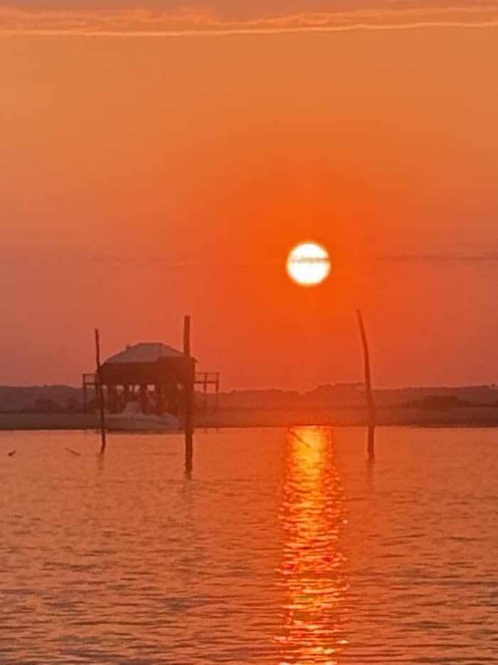 A boat trip, with tasting, bird island or around the bay; also shore fishing and private line fishing