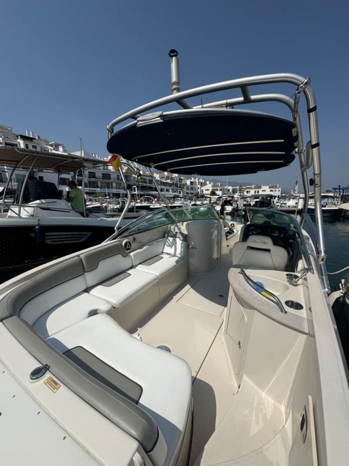 Dolfijnenzoektocht & kustcharme: 4 uur durende cruise aan de Costa Blanca
