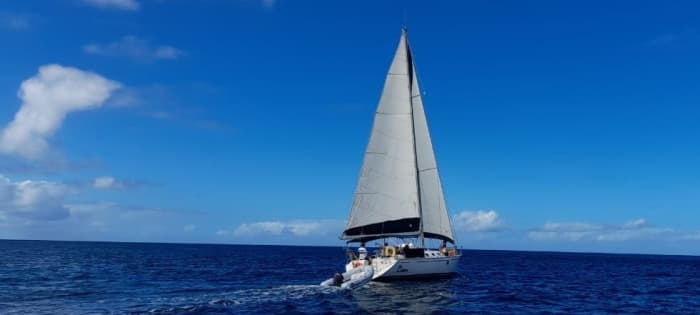 Heldags segelbåtsuthyrning i Simpson Bay