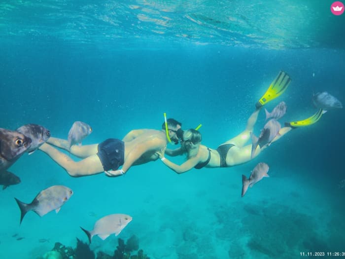 SAIL, DIVE AND DISCOVER: UNIQUE UNDERWATER EXPERIENCES