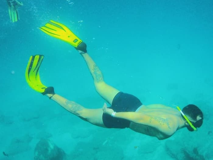 SAIL, DIVE AND DISCOVER: UNIQUE UNDERWATER EXPERIENCES