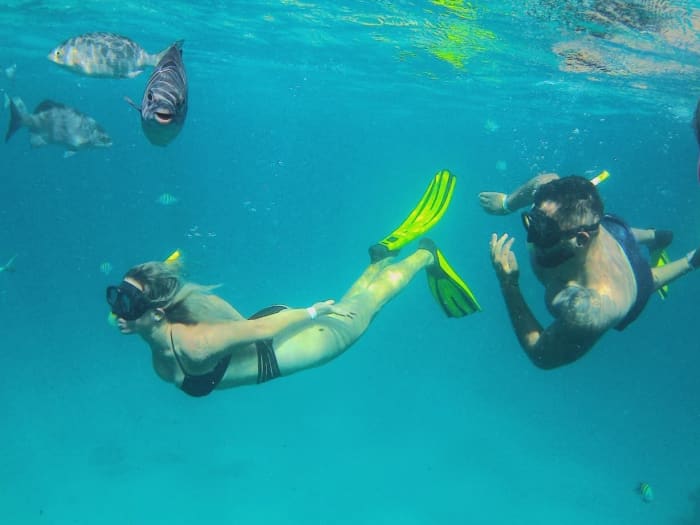 SAIL, DIVE AND DISCOVER: UNIQUE UNDERWATER EXPERIENCES