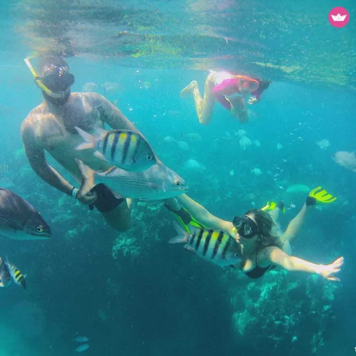 SAIL, DIVE AND DISCOVER: UNIQUE UNDERWATER EXPERIENCES