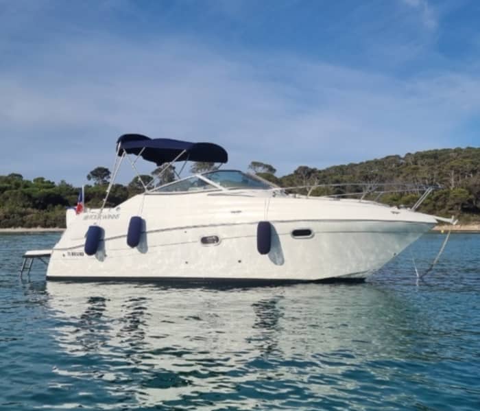 Descubra La Londe-les-Maures em uma lancha por 9h