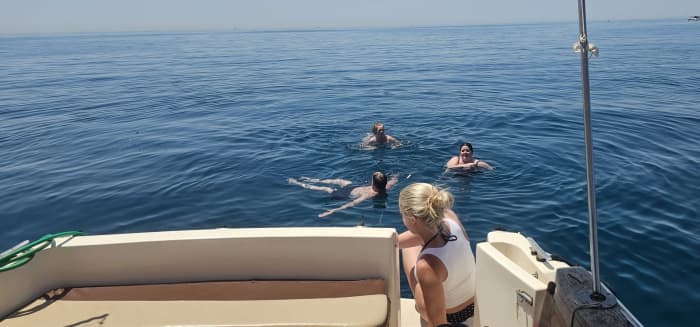 Paseo en barco para aistar delfines (pequeños grupos)
