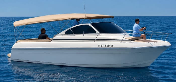 Passeio de barco para observação de golfinhos (grupos pequenos)