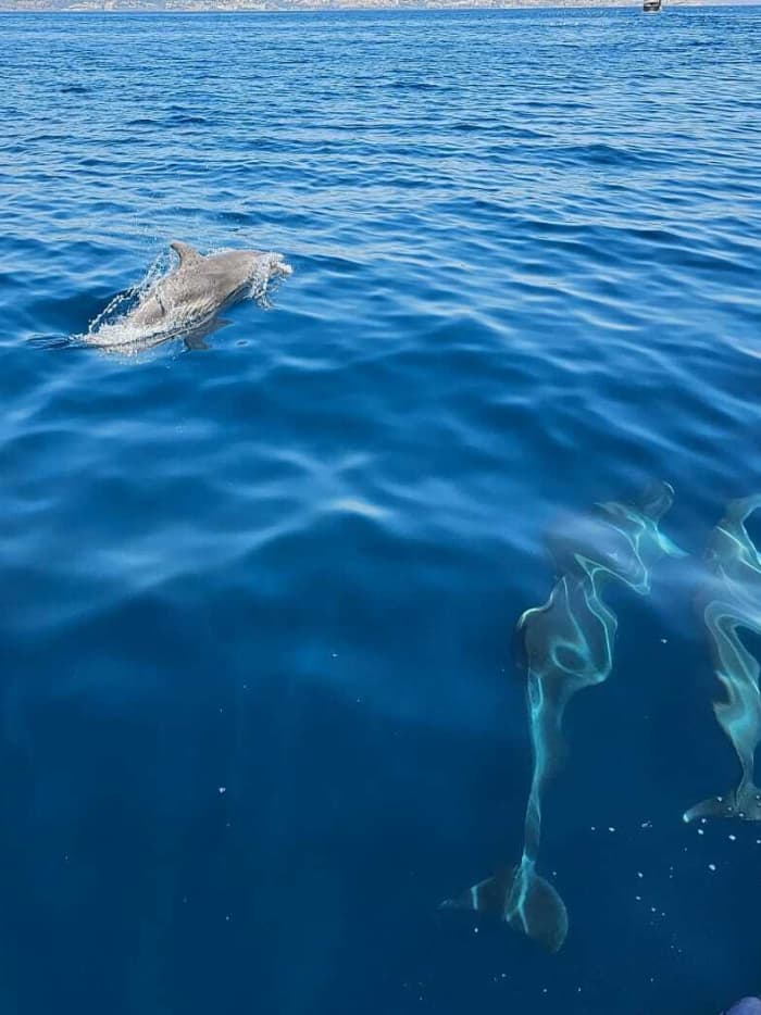 One day around Fuengirola: Enjoy 5h15 of discovery on a motorboat