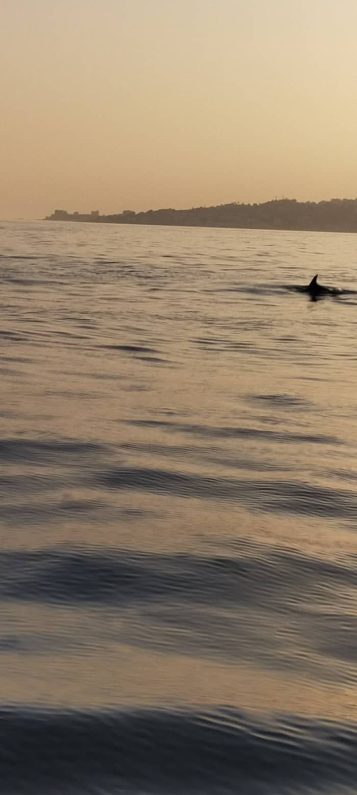 One day around Fuengirola: Enjoy 5h15 of discovery on a motorboat