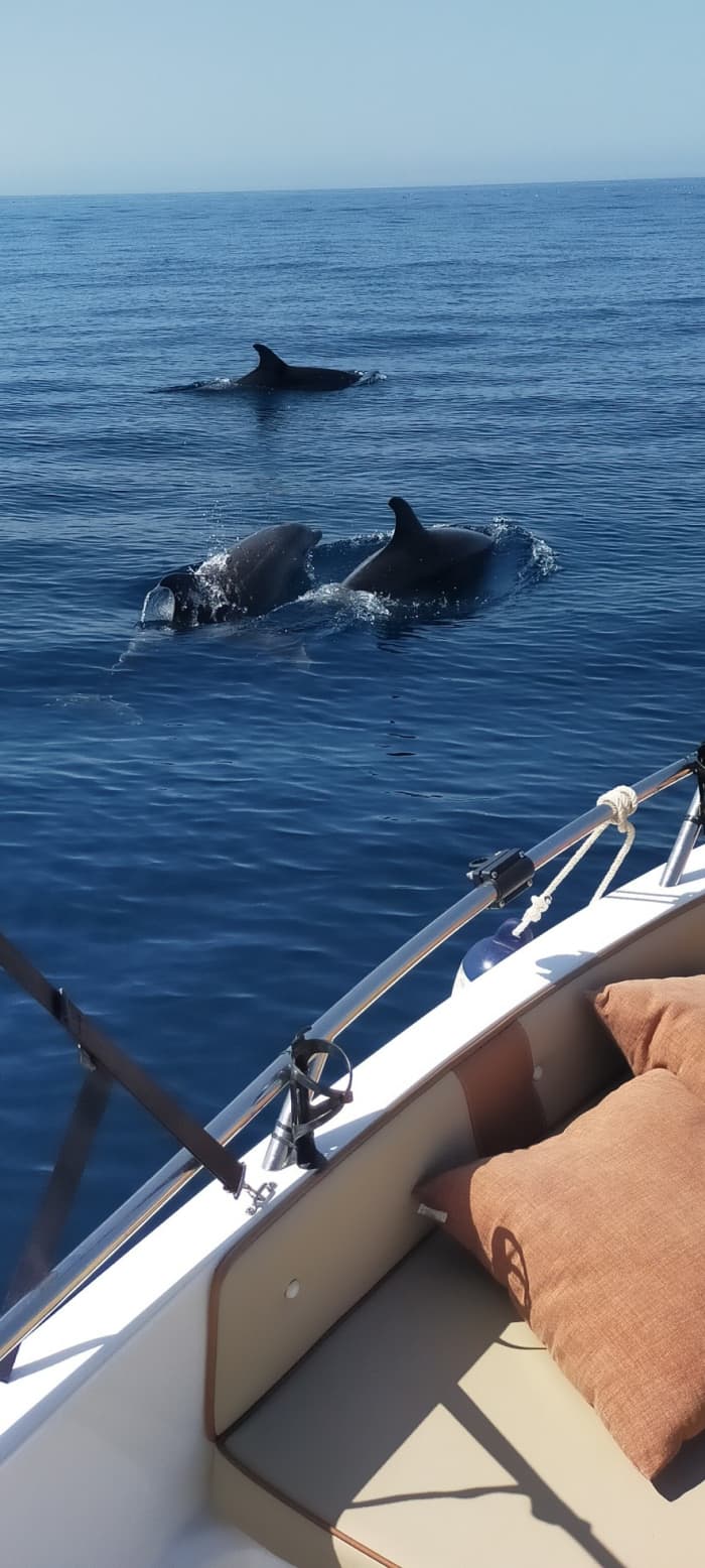 One day around Fuengirola: Enjoy 5h15 of discovery on a motorboat