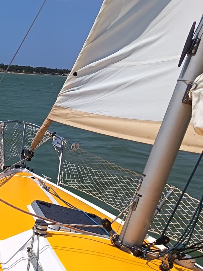 Sea, Love and Sun: A day full of emotions on a sailboat