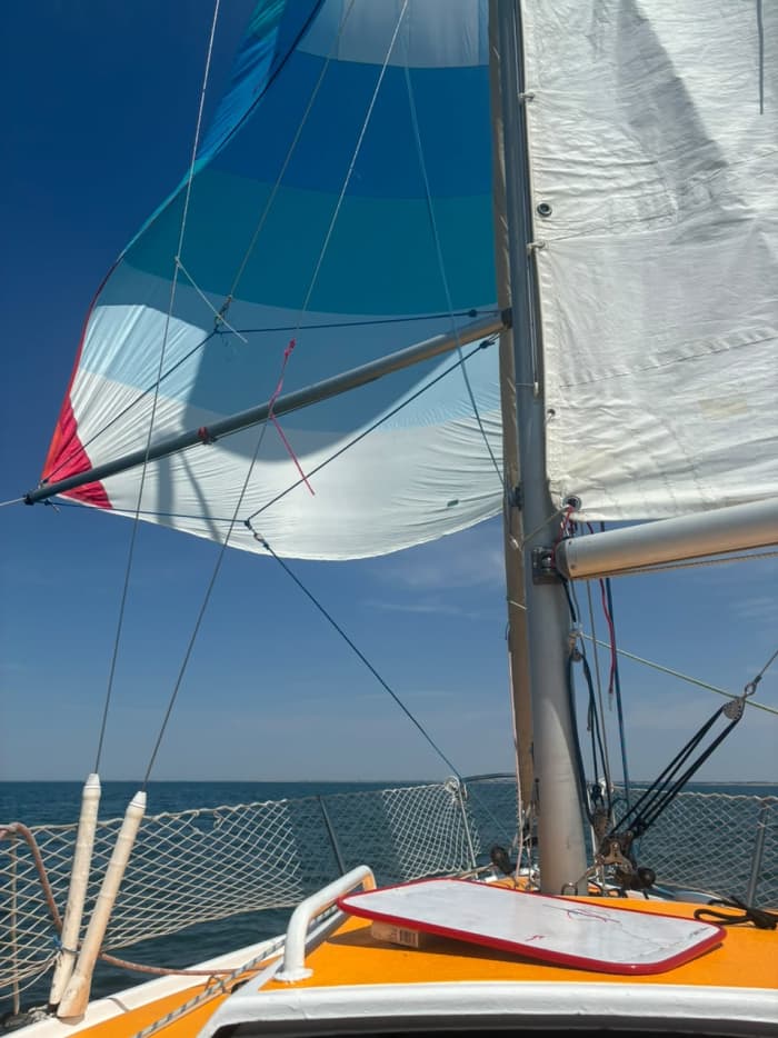 Sea, Love and Sun: A day full of emotions on a sailboat