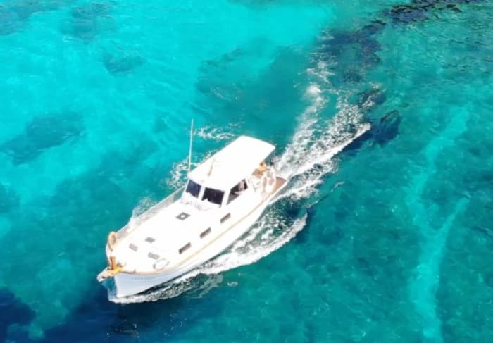 Mediterranean Getaway: Half-Day Tour of Mallorca, 4 Hours