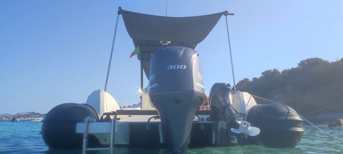 Excursión de medio día en barco a motor en Palaos.