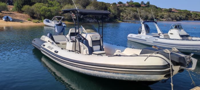Excursión de medio día en barco a motor en Palaos.
