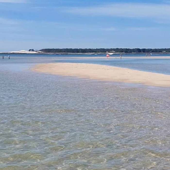 Entdecken Sie Arcachon auf einem Ganztagesausflug mit dem Motorboot