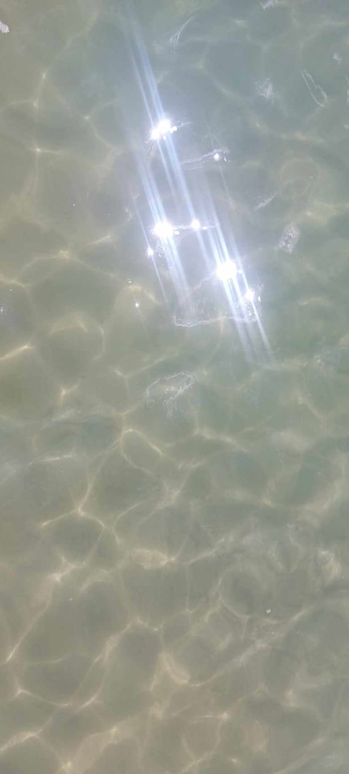 Entdecken Sie Arcachon auf einem Ganztagesausflug mit dem Motorboot