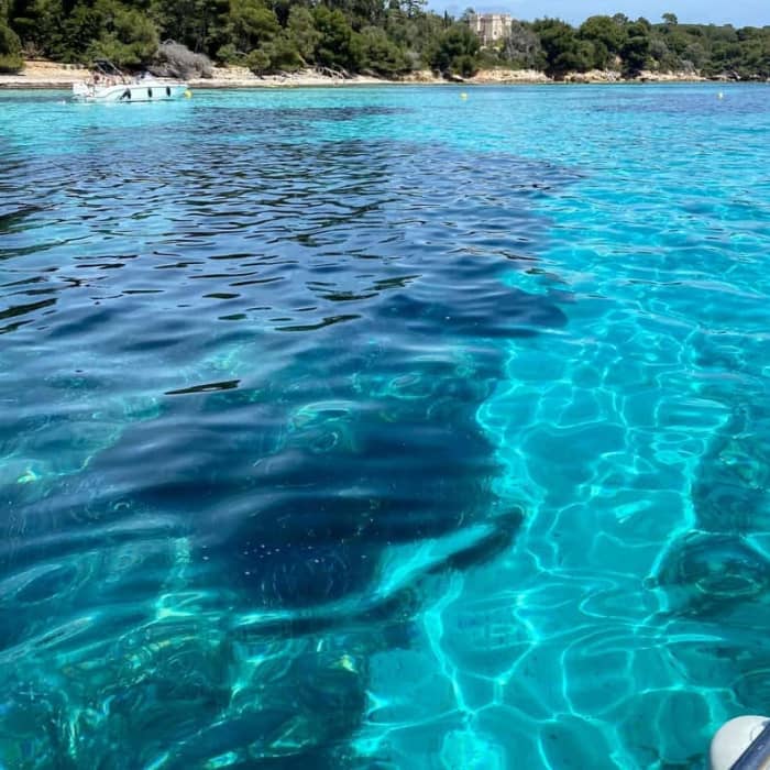 Experience the waves: a half-day getaway to Cannes aboard a motorboat