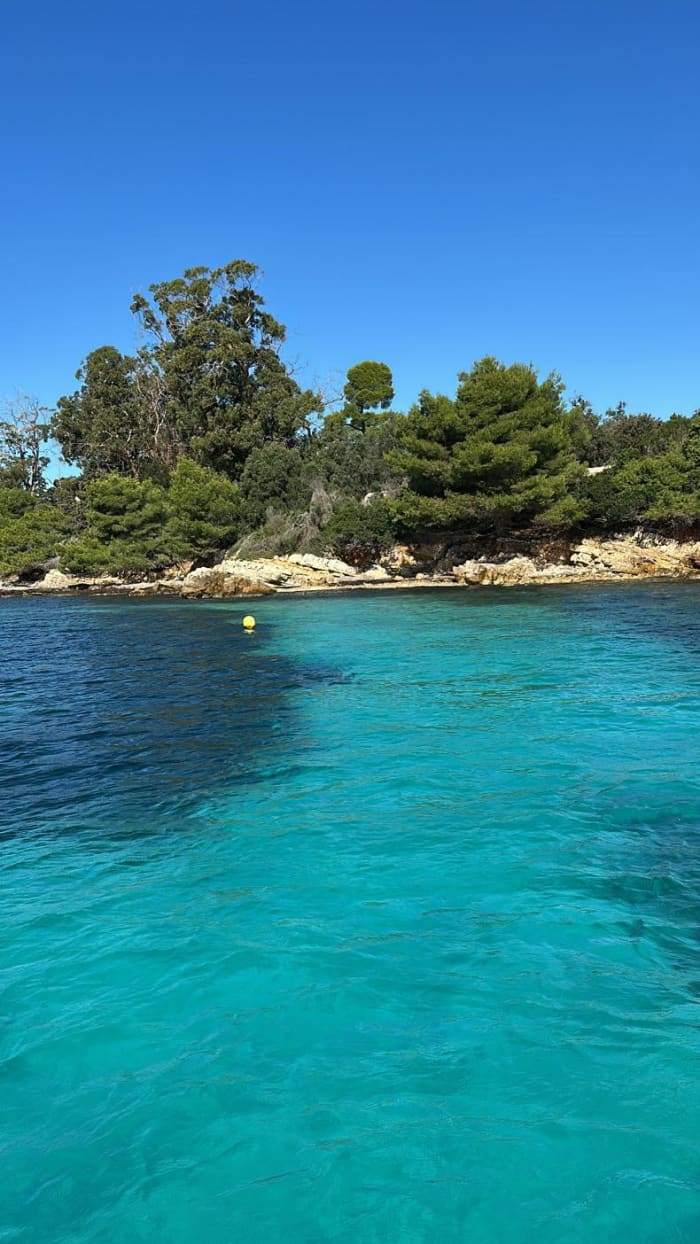 Experience the waves: a half-day getaway to Cannes aboard a motorboat
