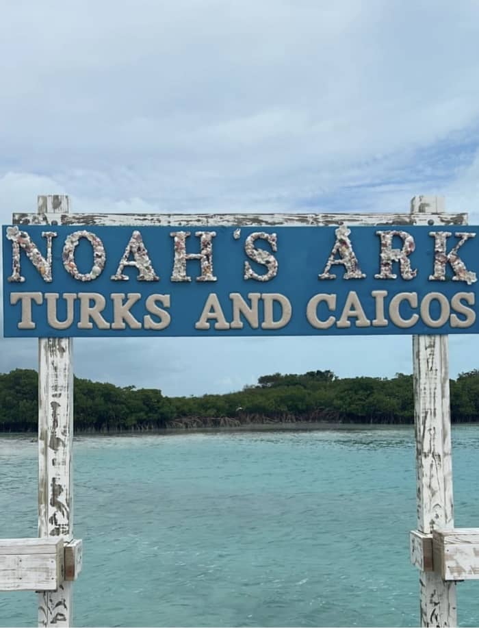 Exploration des Merveilles des Îles : Grace Bay, Iguana Island, Half Moon Bay et Plus