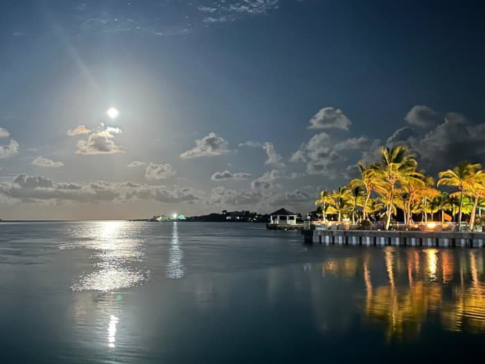 Exploration des Merveilles des Îles : Grace Bay, Iguana Island, Half Moon Bay et Plus