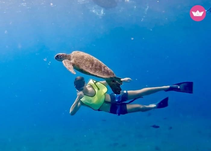 Snorkeling and Activities Cruise in Benalmádena