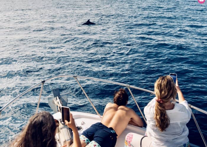 Snorkeling and Activities Cruise in Benalmádena