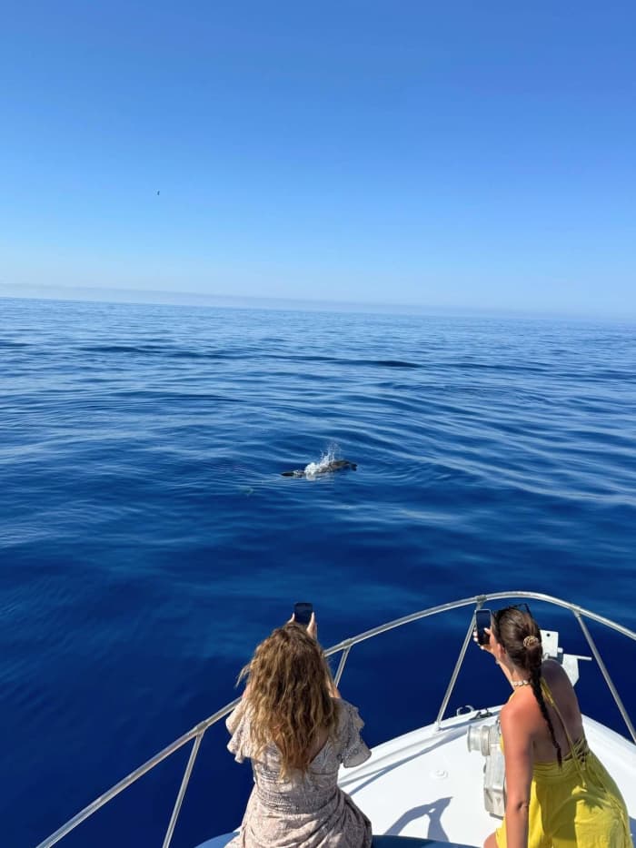 Snorkeling and Activities Cruise in Benalmádena