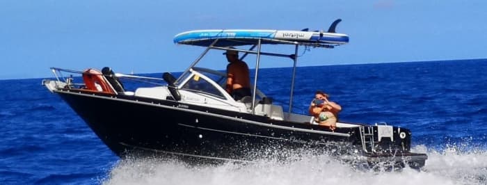 Entdecken Sie Cavalaire-sur-Mer 8 Stunden lang auf einem Motorboot