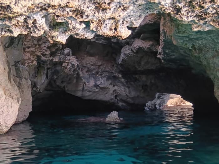 Formentera to the Rhythm of the Sea: Heldag på en privat katamaran