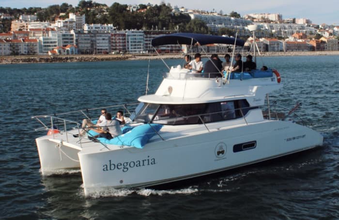Private 4-hour tour with two catamarans in Lisbon