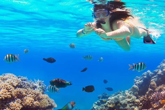 **Shared Cruise | Ain Sokhna | From Cairo | €120/guest**