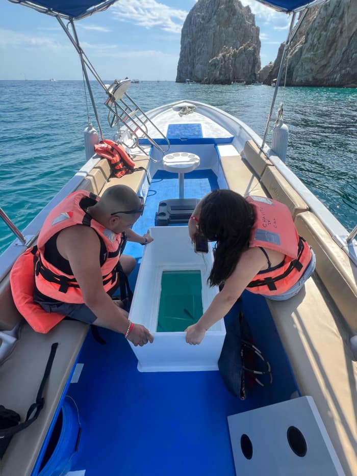 Lev för vågorna: En halvdagssemester i Cabo San Lucas ombord på en motorbåt