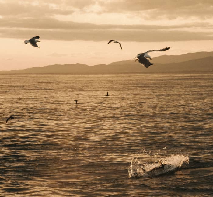 Live the Mediterranean dream: a full day in Barcelona