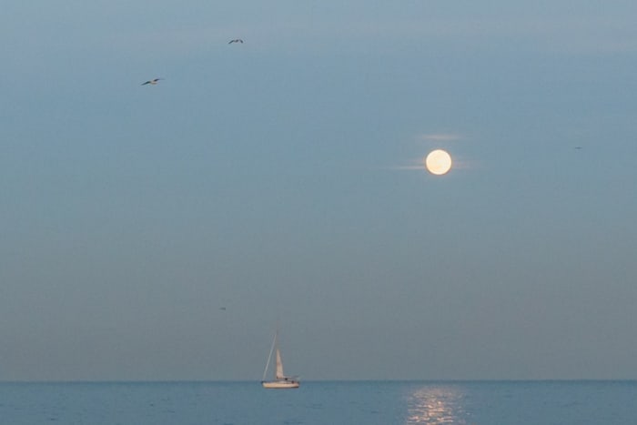 Live the Mediterranean dream: a full day in Barcelona