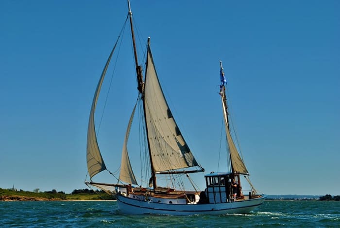 The best of Vannes is on the water: Your private full day on a sailboat