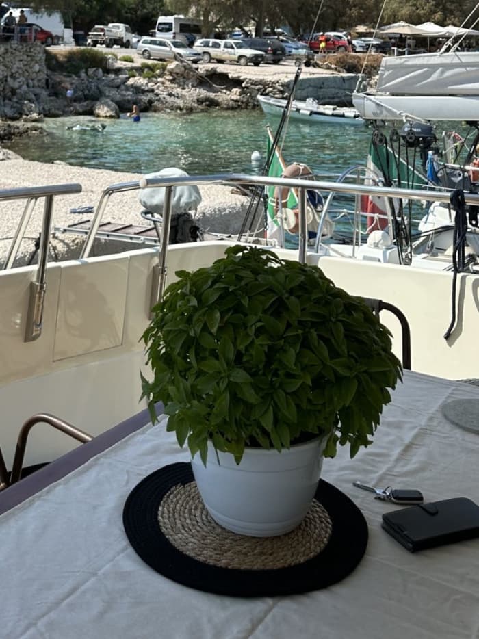 Coastal Escape: Meganisi & Skorpios 6h Cruise