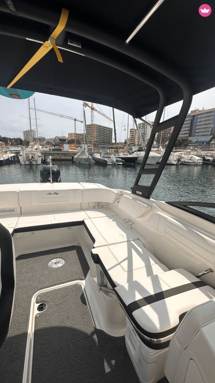 Your day, your rules: 8 hours of pure freedom in Mallorca