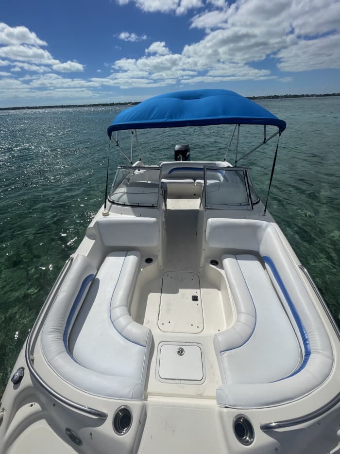 Halbtägiges Bahamas-Glück: Schwimmen mit Schildkröten und Schnorcheln auf Rose Island