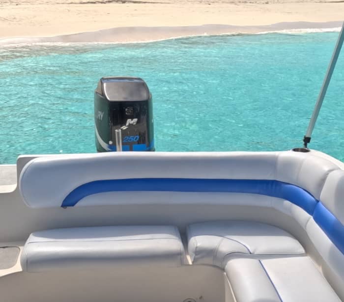 Halbtägiges Bahamas-Glück: Schwimmen mit Schildkröten und Schnorcheln auf Rose Island