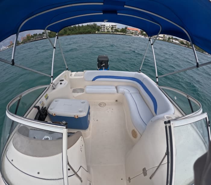 Halbtägiges Bahamas-Glück: Schwimmen mit Schildkröten und Schnorcheln auf Rose Island
