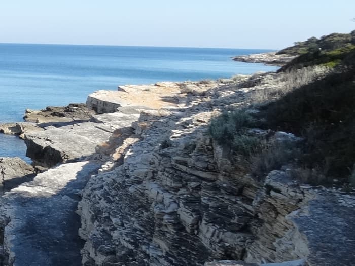 Aventura en el Parque Nacional de Brijuni: explora, nada y saborea el Adriático