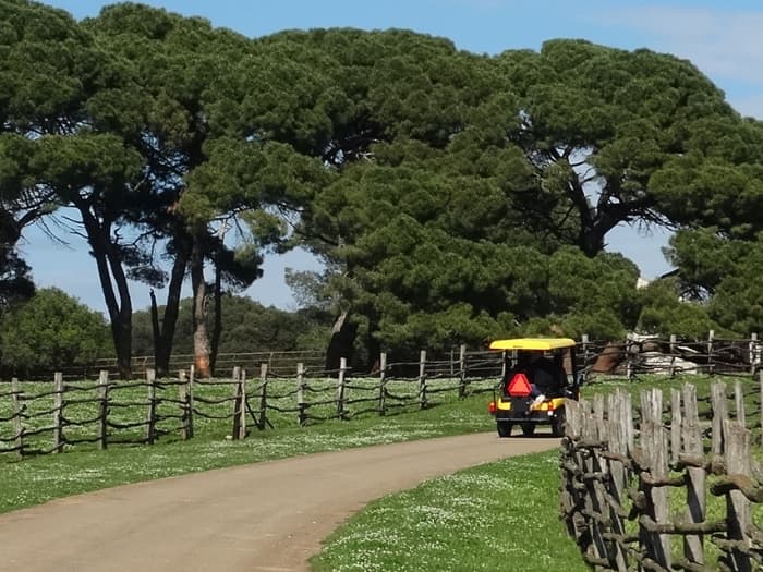 Aventura en el Parque Nacional de Brijuni: explora, nada y saborea el Adriático