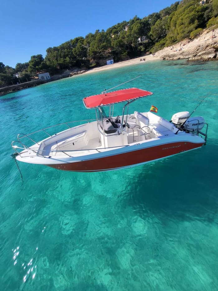 Halve dag avontuur – 4 uur durende privécruise in Palma
